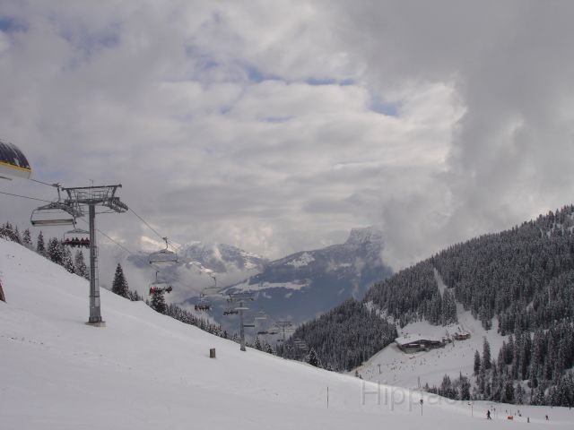 20070309 Hippach 001.jpg